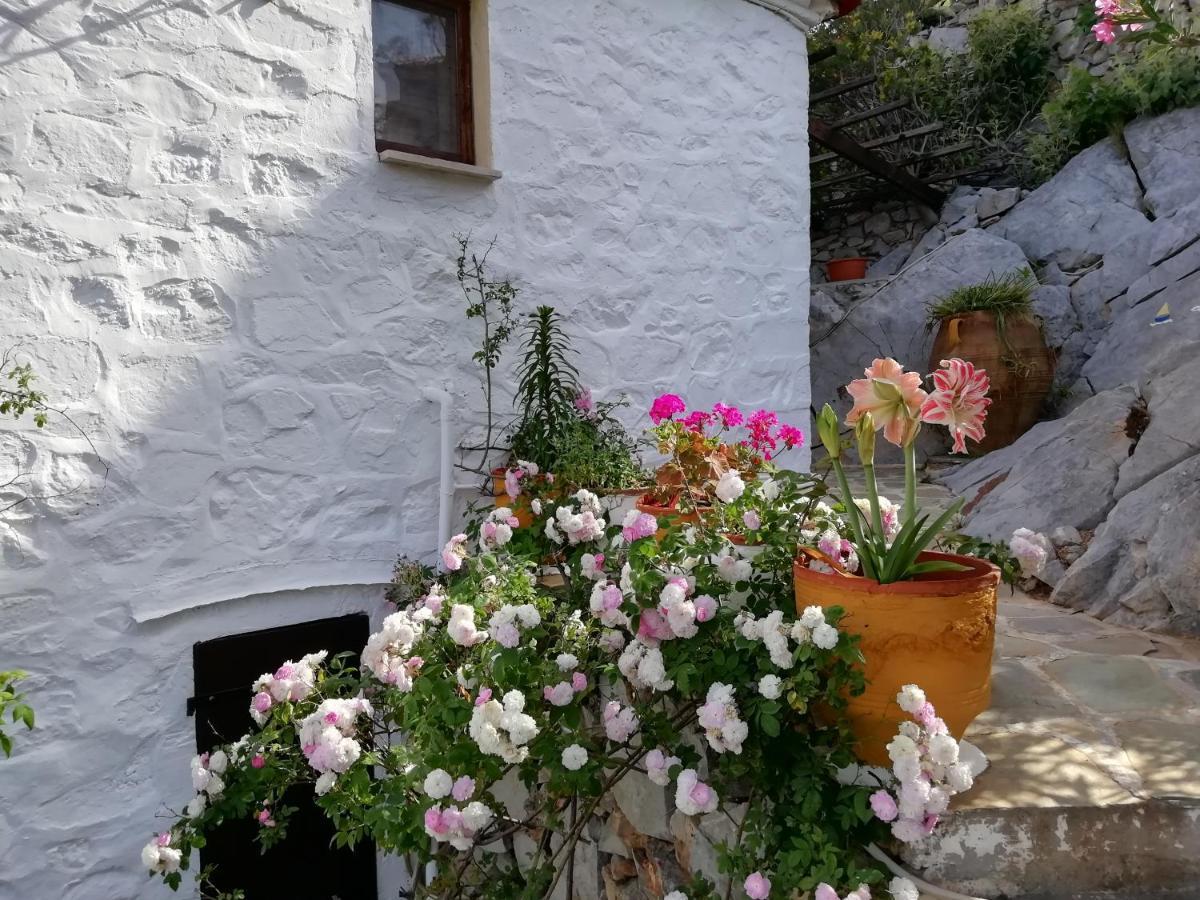 Arbeli House Villa Mandraki  Bagian luar foto
